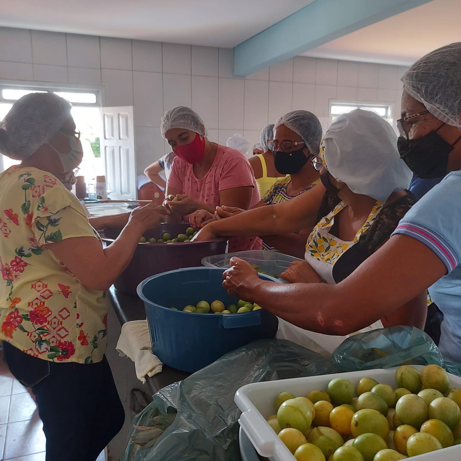 Oficina de Beneficiamento de Frutas  realizada em Guanambi 