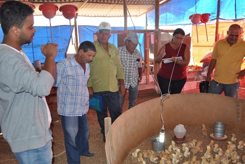Avicultura - Cesol promove intercmbio em Guanambi para empreendedores de Rio do Antonio