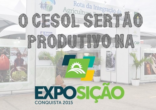 Cesol Serto Produtivo expe produtos da Economia Solidria na Exposio de Vitria da Conquista