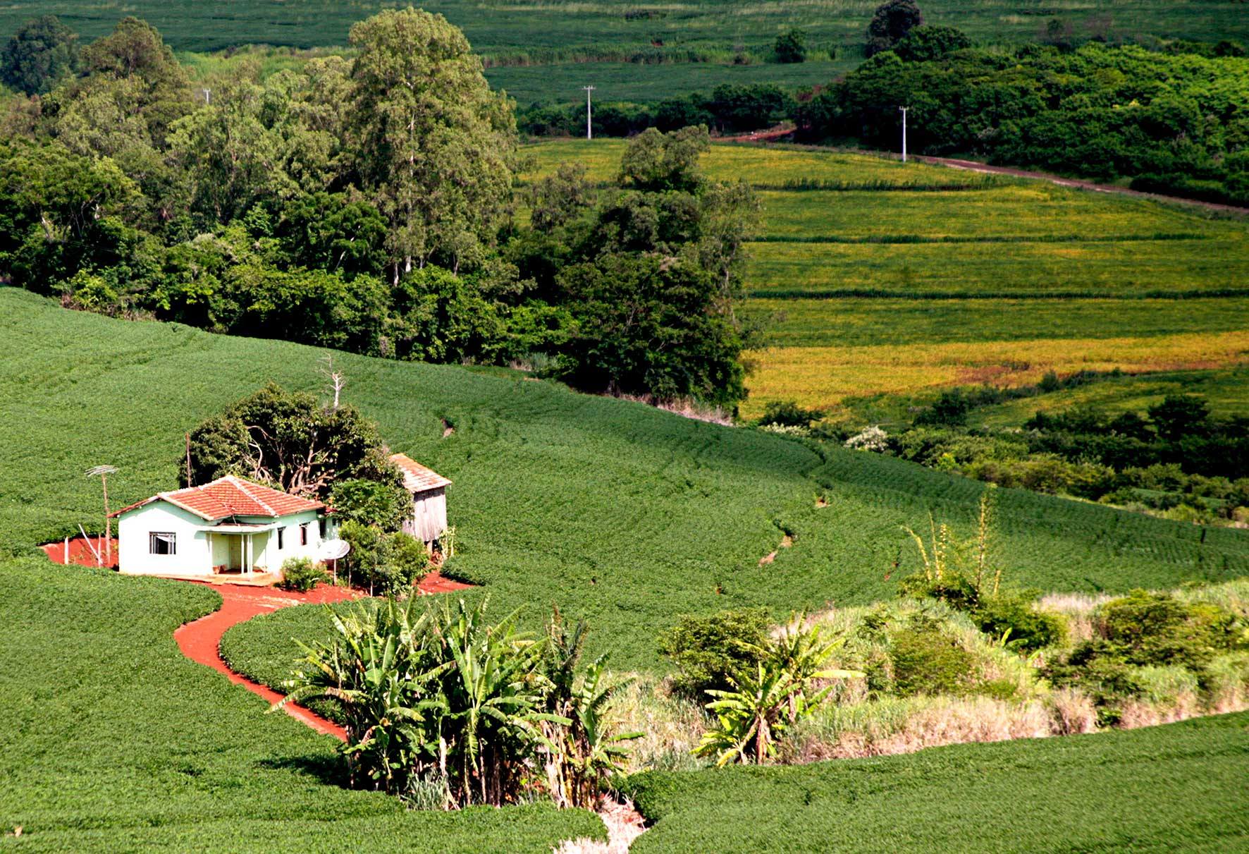 Bahia lidera nmero de propriedades rurais do pas