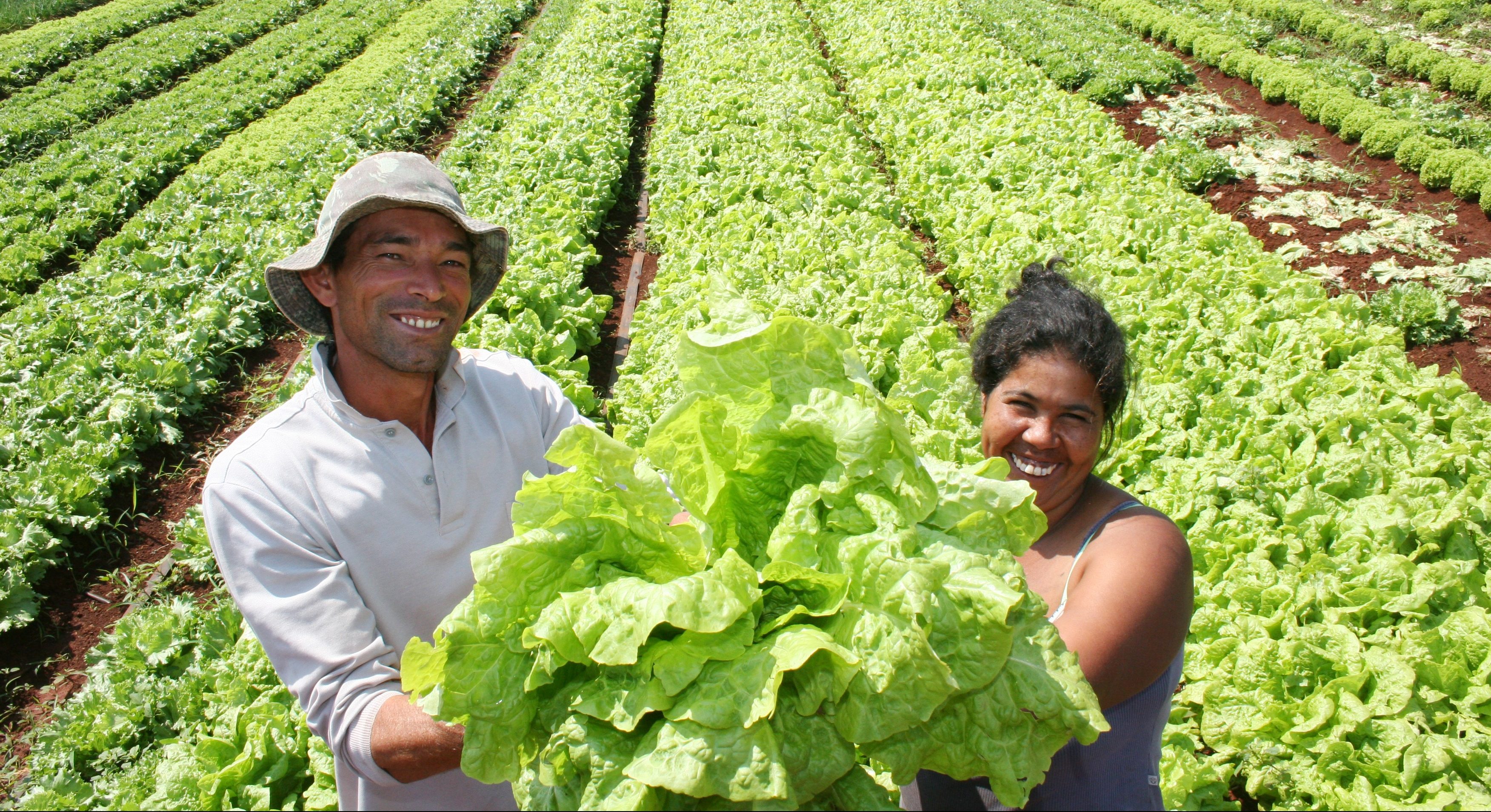 Secretrios do Nordeste discutem desenvolvimento rural 