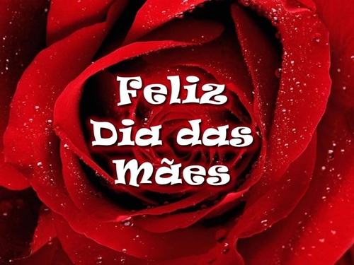 Feliz Dia das Mes!