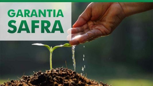 Garantia-Safra pagar recursos para agricultores prejudicados com a seca