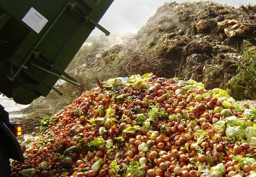 FAO pretende diminuir o desperdcio de alimentos no Brasil